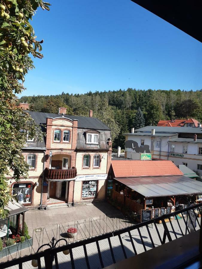 Bialy Apartament Polanica-Zdroj Dış mekan fotoğraf